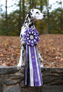 Witley 11 Rosette Award Ribbon, 10" Top