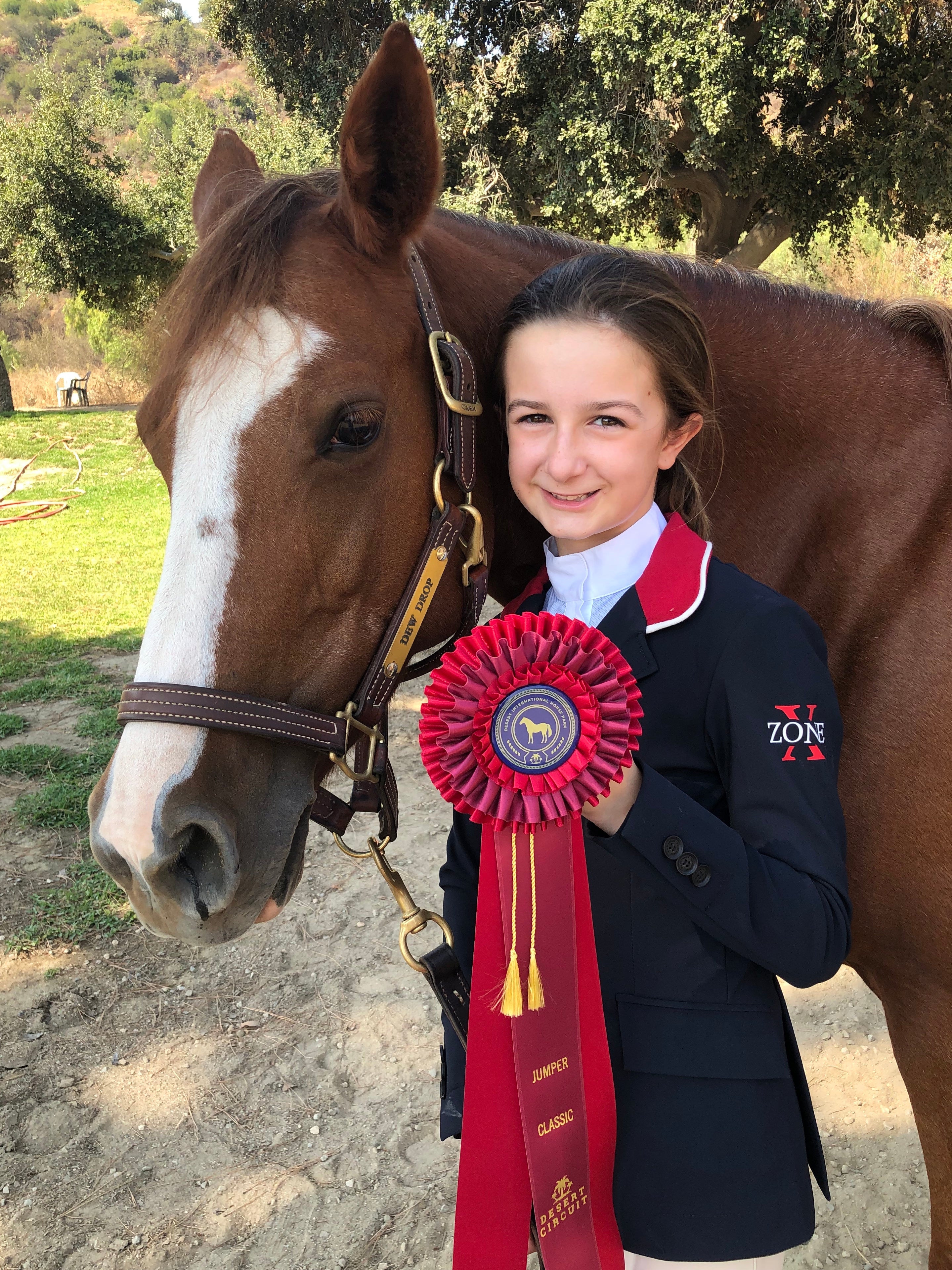 Regent 3 Rosette Award Ribbon, 5-1/2