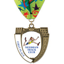 2-3/4" Custom MS14 Mega Shield Award Medal With Millennium Neck Ribbon